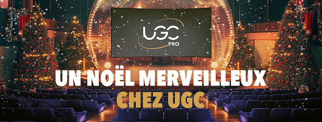Arbres de Noël 2024 : la magie est de retour !